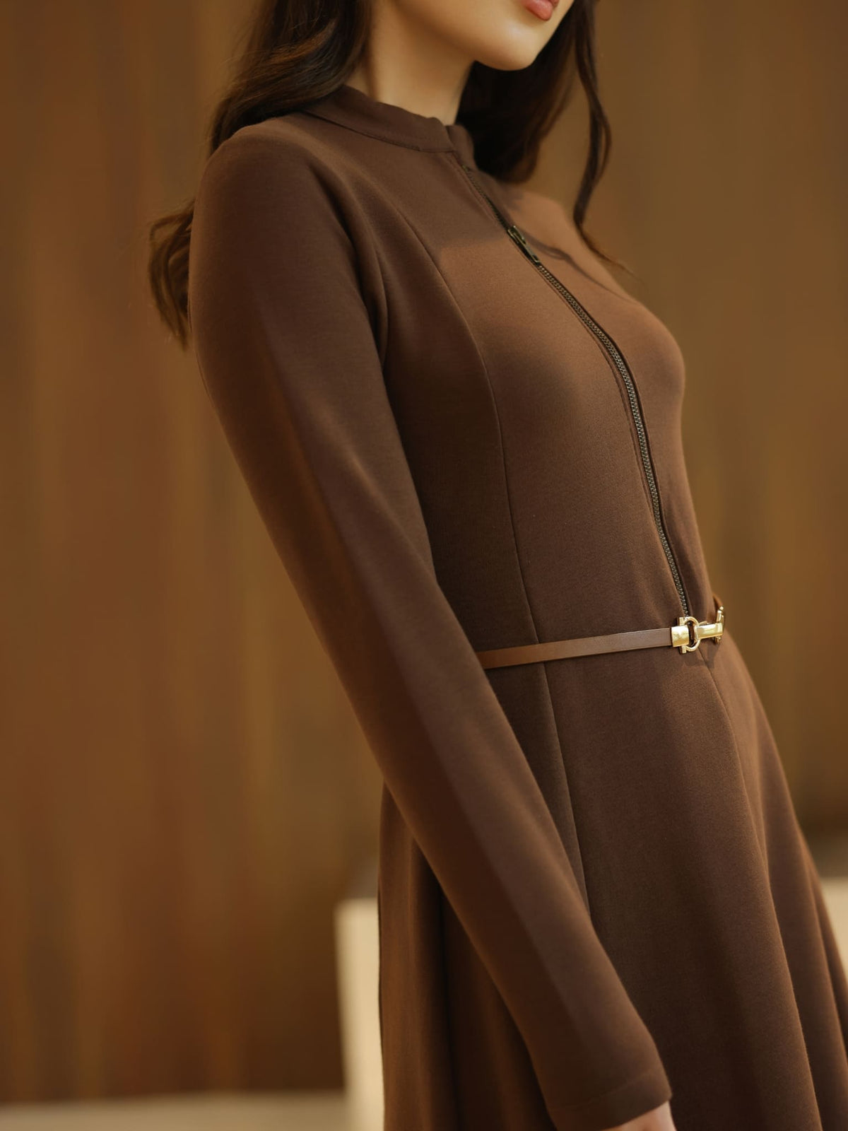 XAYWEAR Haelin Panel Brown Dress